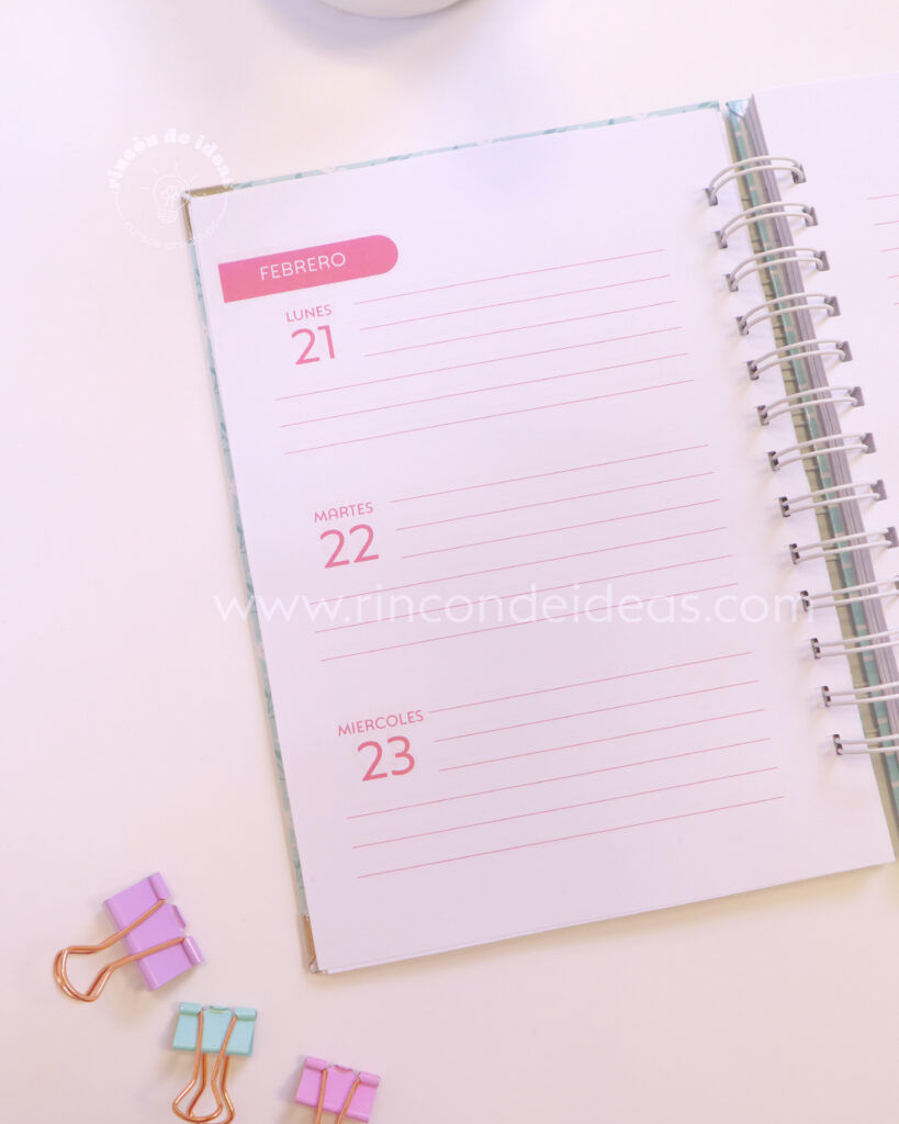 Agendas desde Cero en Illustrator — foto 32