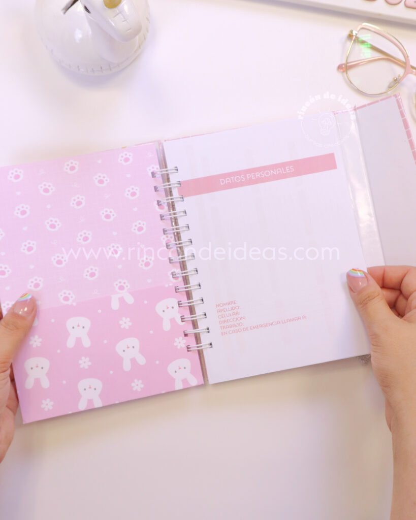 Agendas desde Cero en Illustrator — foto 20