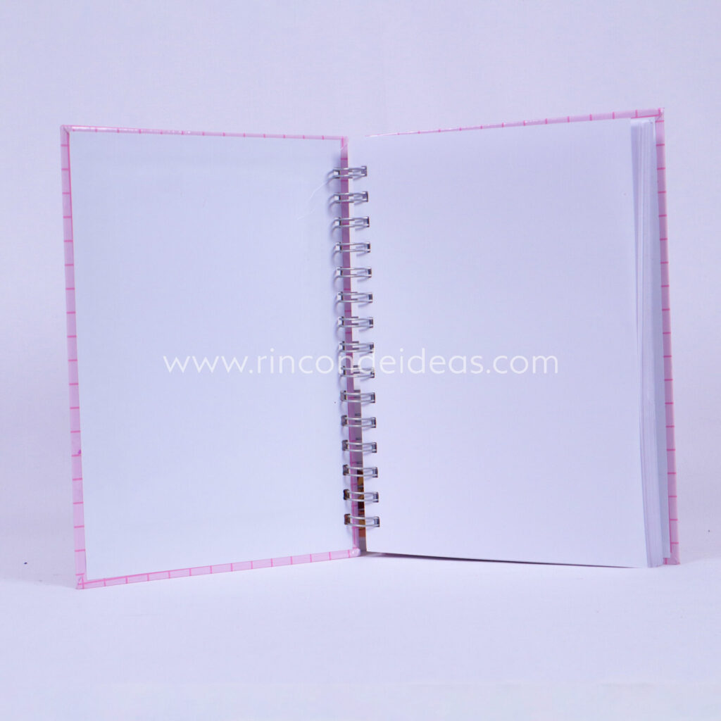 Masterclass Agenda Shaker — foto 7